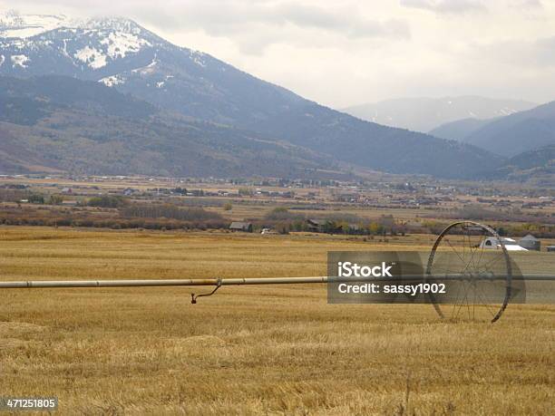 La Agricultura Azud Grand Teton Las Montañas Foto de stock y más banco de imágenes de Actividad de agricultura - Actividad de agricultura, Agricultura, Aire libre