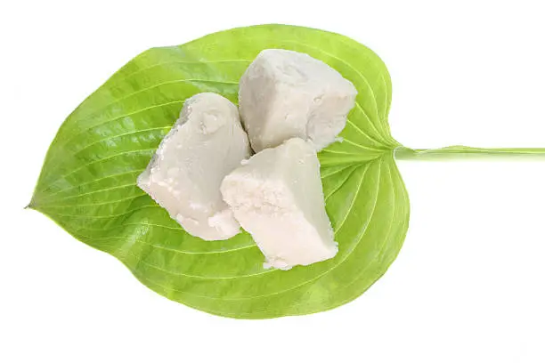 raw organic ghanaian shea butter on a green leaf