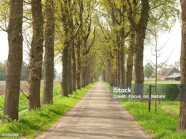 Droga W Spring - zdjęcia stockowe i więcej obrazów Bez ludzi - Bez ludzi, Czerwiec, Drenthe