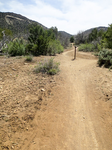 A brown dirt mountain biking trail has diminishing perspective into the distance.  There is a trail marker at the intersection of the trail.   The hills are covered with green bushes, but the empty trail is dry earth.  The photo was taken in the Horse Gulch area of Durango, Colorado.