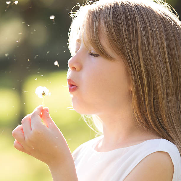 istock Little Girl Dreaming with Dandelion 471254192