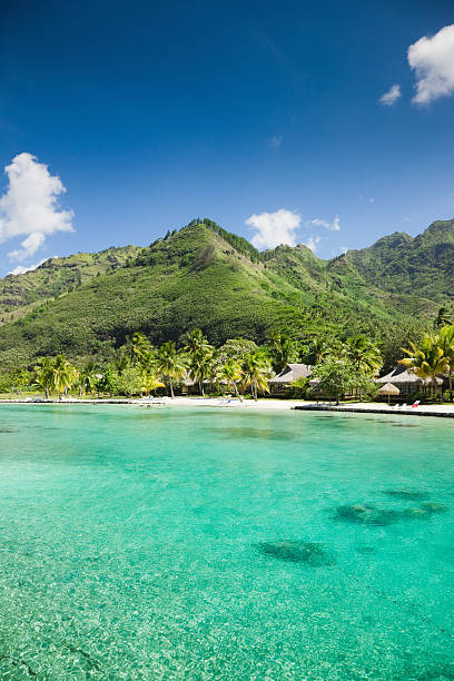 istock Beach Paradise Holiday Hotel Cottages Polynesia 471254231