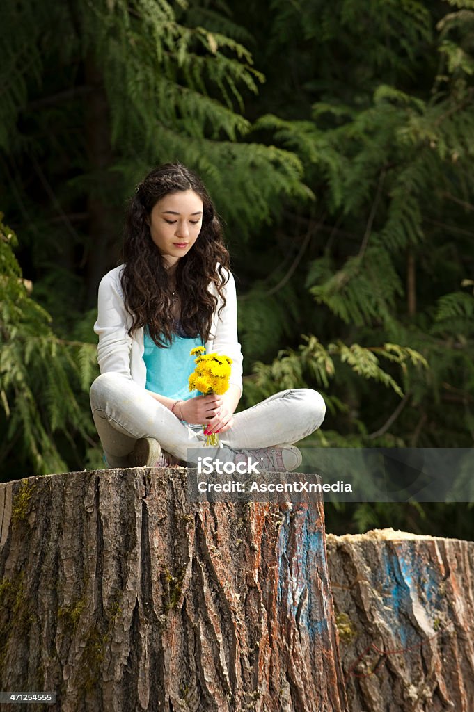 Teen Teen contemplating on the stump of a logged old growth tree.  Good for deforestation and environmental issues. Adolescence Stock Photo