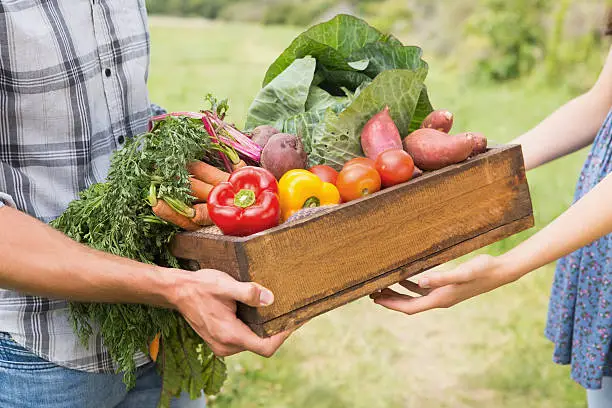 Photo of Farmer giving box of veg to customer