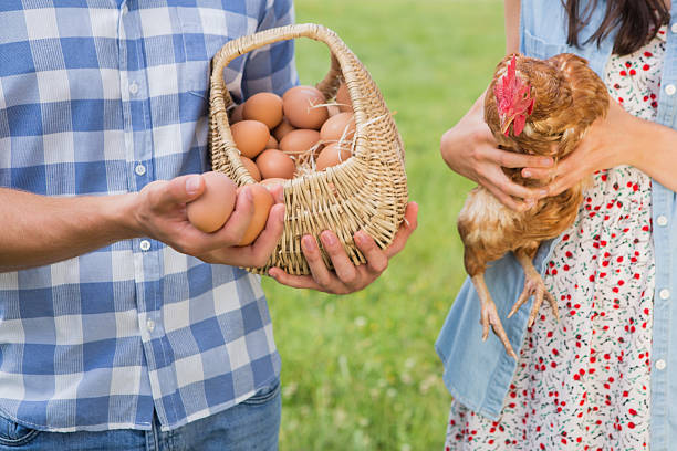 istock Happy farmers holding chicken and eggs 471255280