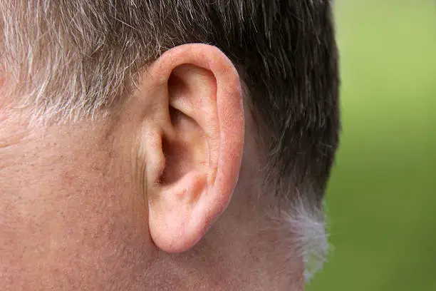 Close up of the male human ear, horizontal composition