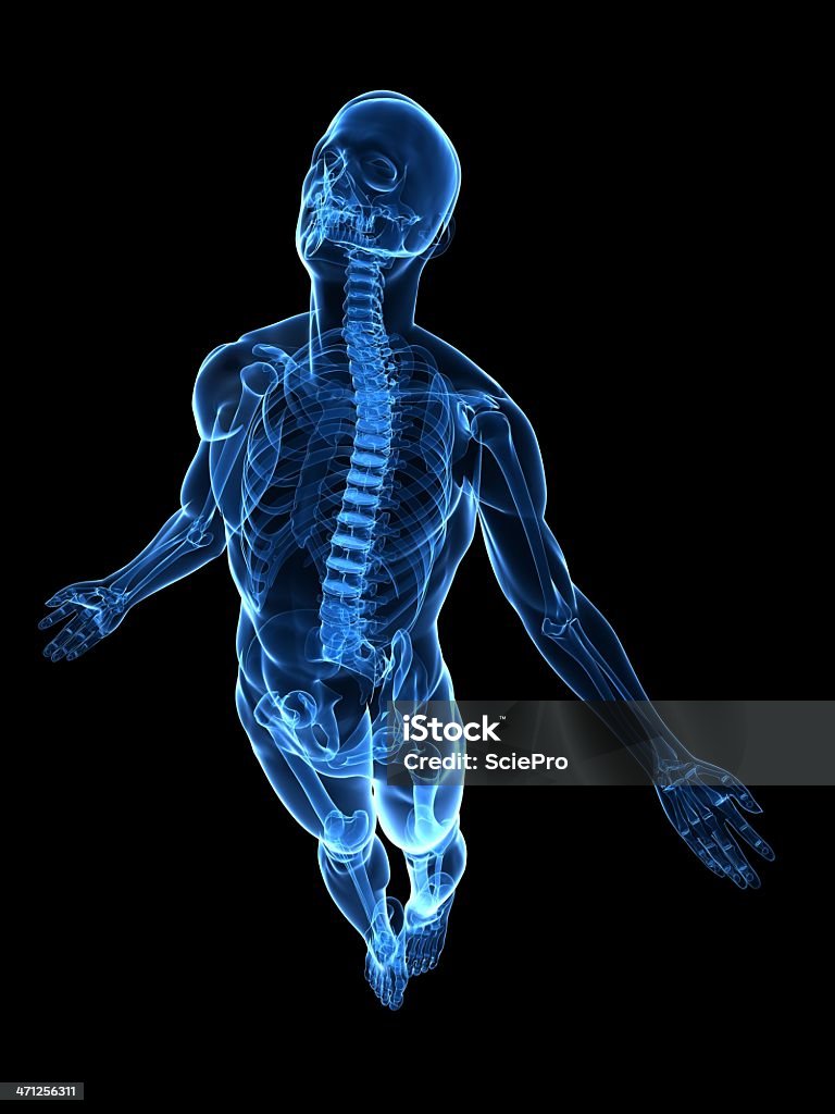 Поднимаясь тела - Стоковые фото Анатомия роялти-фри