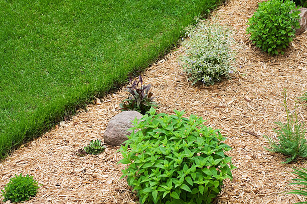 Wood Chip Mulch in Perennial Flower Garden A perennial flower garden that has been completely mulched with wood chips to help retain moisture and prevent weeds. wood chip stock pictures, royalty-free photos & images