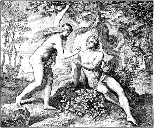 ilustrações, clipart, desenhos animados e ícones de adam & eve comer frutas proibida - eve