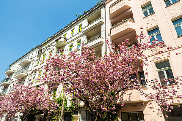 istock Berlin Prenzlauer Berg with cherry trees 471257806