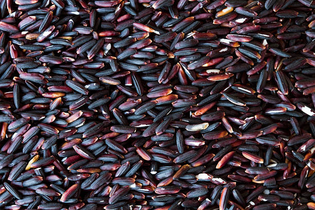 ブラックの稲田 - carbohydrate rice cereal plant uncultivated ストックフォトと画像