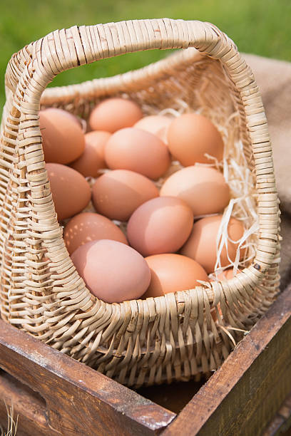 istock Basket of fresh organic eggs 471258384