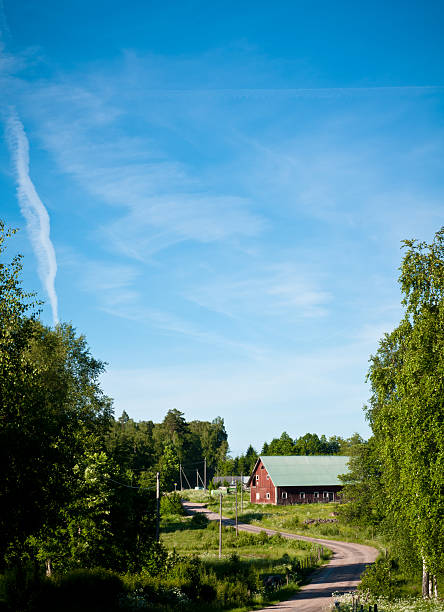 Big red swedish cottage by a green summer meadow.Deep azure sky in the background.