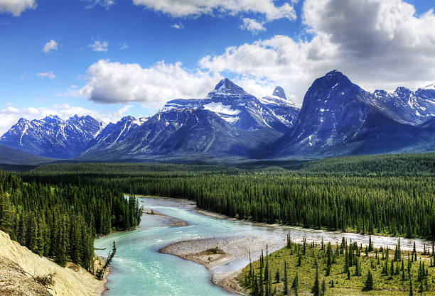 Athabasca River, Alberta, Canada - wild river and mountain peak