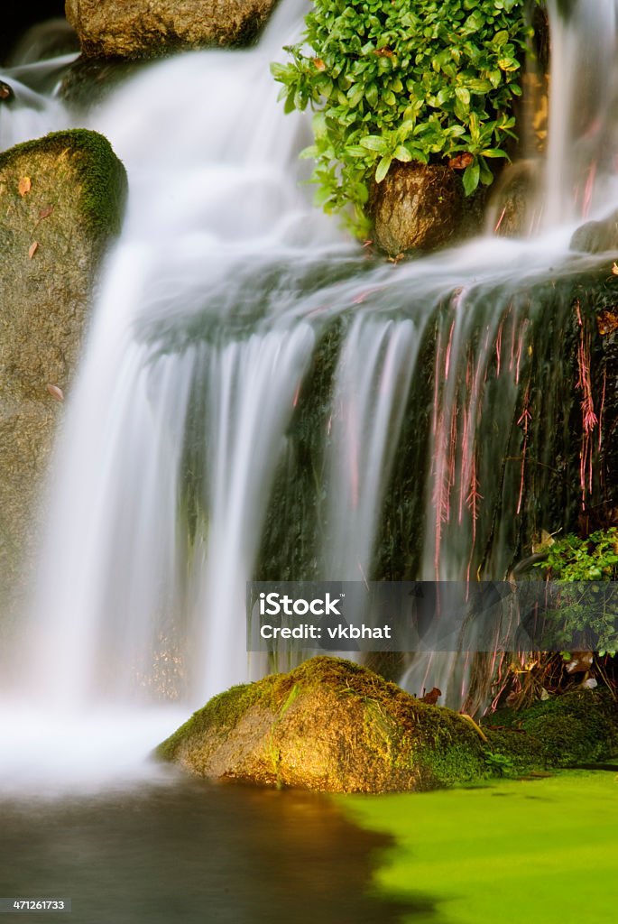 Waterfalls Beautiful waterfalls in an early morning light at M. K. Nature Center, Boise, Idaho, USA Falling Stock Photo