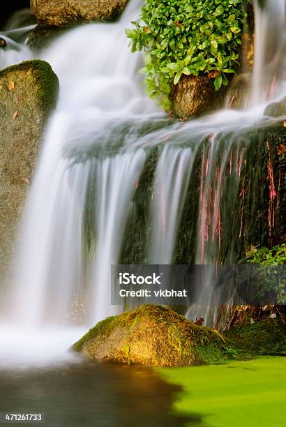Waterfalls Stock Photo - Download Image Now - Falling, Idaho, Root
