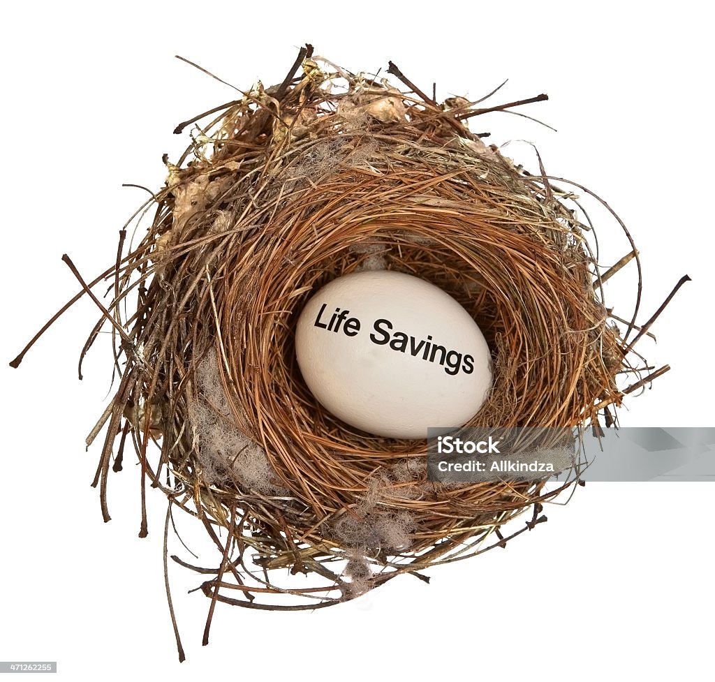 Life Ersparnisse Nest Egg - Lizenzfrei 401K - englischer Begriff Stock-Foto