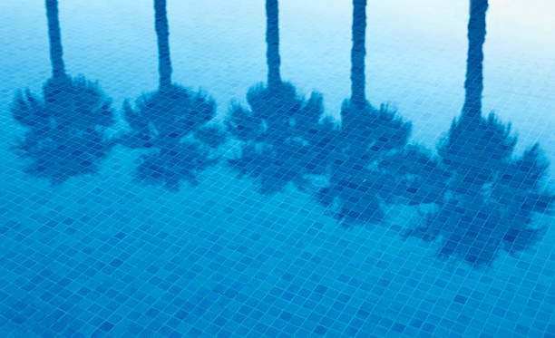 istock Reflection of palm trees in a pool 471262265