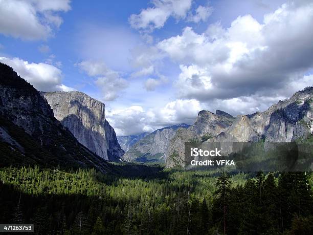 Parque Nacional Yosemite Foto de stock y más banco de imágenes de Aire libre - Aire libre, Azul, Bosque