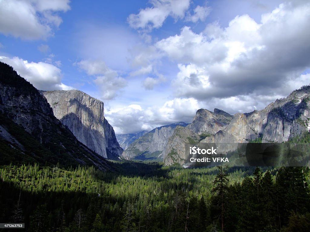 Parco nazionale di Yosemite - Foto stock royalty-free di Albero