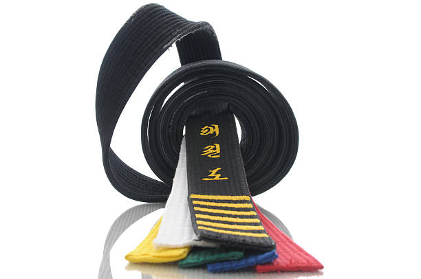 istock Tae Kwon Do Levels 471264107