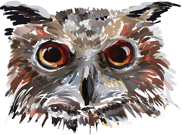 vector owl head - hayvan gözü stock illustrations