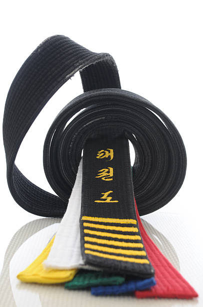 istock Levels of Tae Kwon Do 471264349