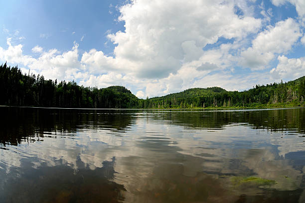 Moose Pond, Horizon-Center Fisheye stock photo