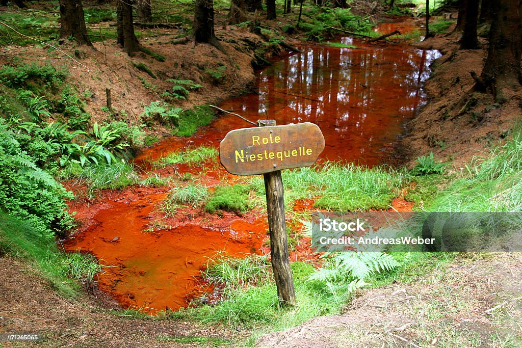 Rote Niestequelle (Kaufung forest) Natural landmark Rote Niestequelle ("Red spring of river Nieste) in the german Kaufunger Wald mountains near Kassel. Algae Stock Photo