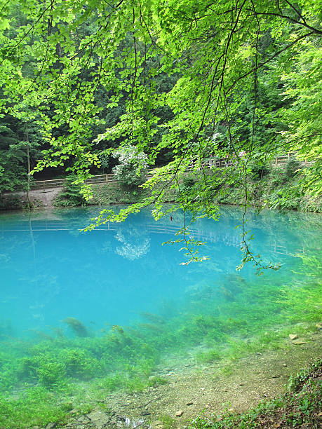 istock Blautopf in Blaubeuren - Germany 471265495