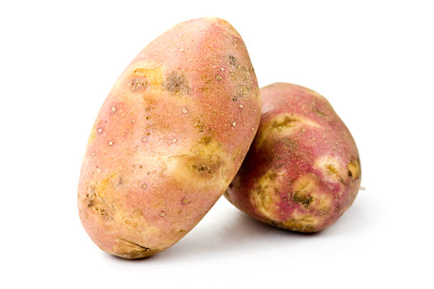 pomme de terre - red potato isolated raw potato raw photos et images de collection