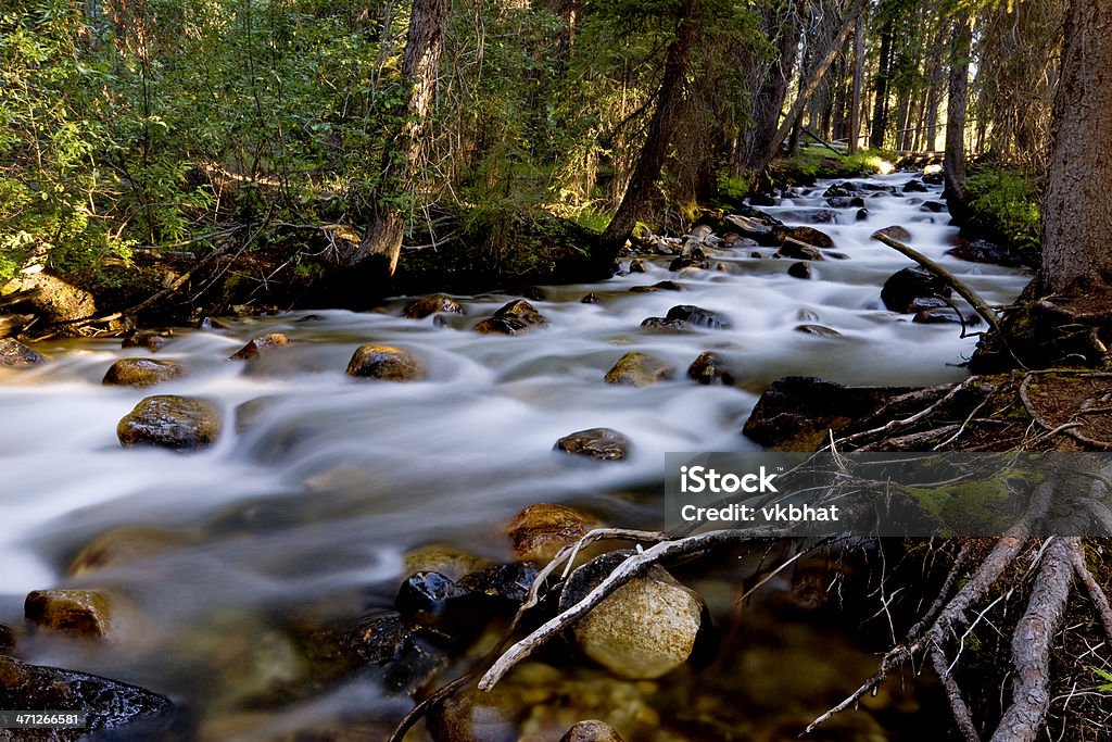 Fishhook creek Beautiful Fishhook creek flowing over rocks in an early morning light at Stanley, Idaho, USA. This picture was taken at the starting of Redfish trail Idaho Stock Photo