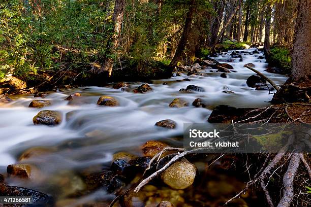 Fishhook Creek Stock Photo - Download Image Now - Idaho, River, Scenics - Nature
