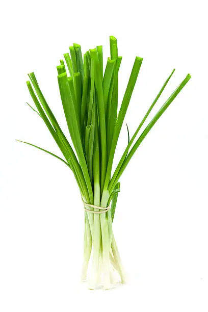 spring onions on the white background