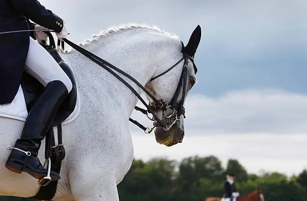 Photo of Horse and horse rider competing in dressage