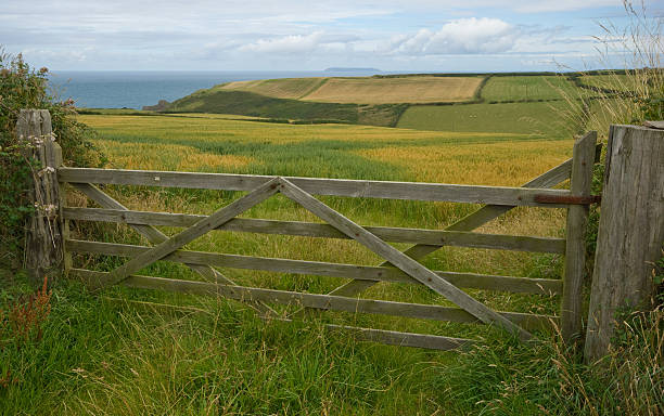 istock Country gate with Lundy Island 471268449