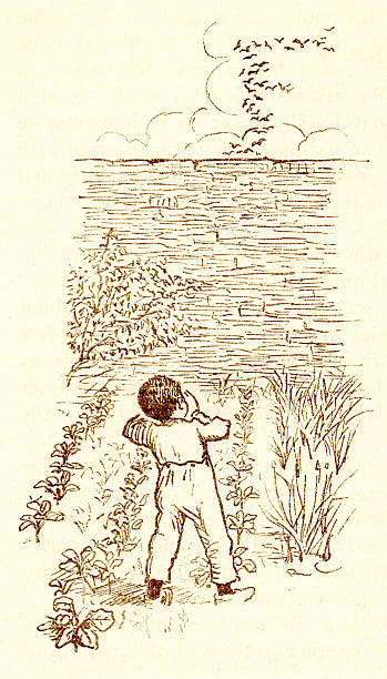 randolph caldecott skizze eines kleinen viktorianischen junge scaring vögel - ummauerter garten stock-grafiken, -clipart, -cartoons und -symbole