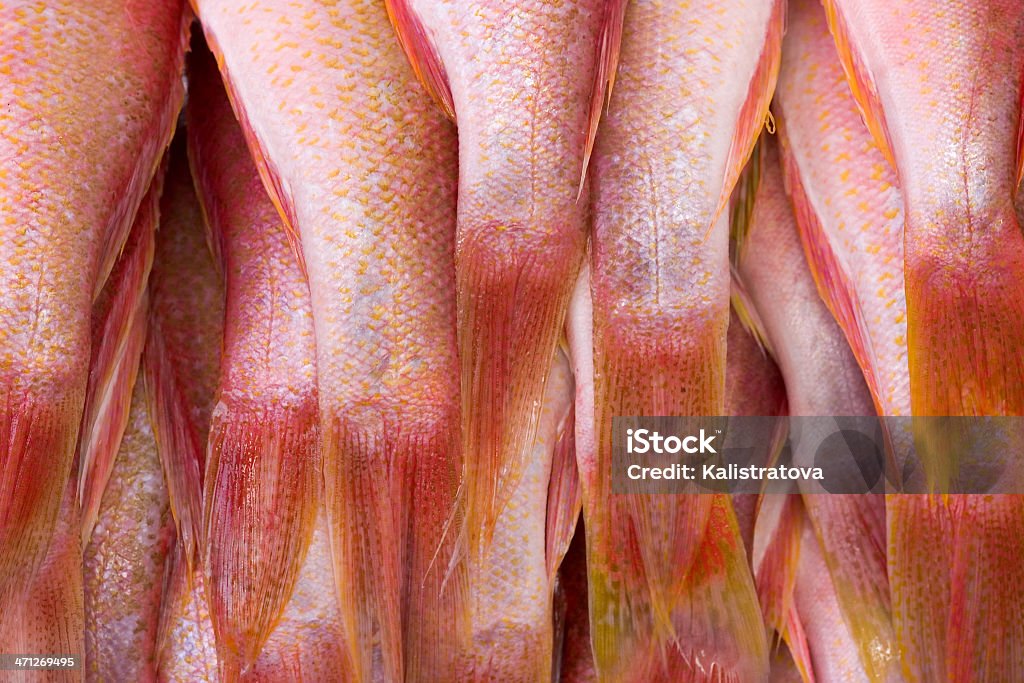 Pescados frescos en el mercado. - Foto de stock de Alimento libre de derechos
