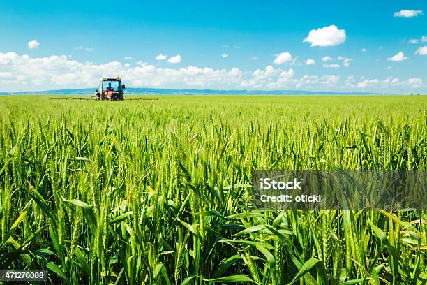 Foto de Spraying Culturas Campo De Trigo e mais fotos de stock de Campo - Campo, Trigo, Trator