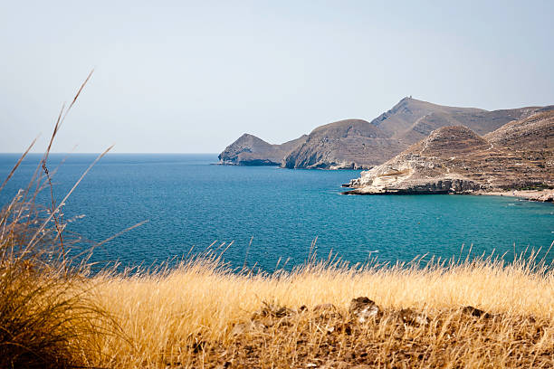 istock Desert by the sea 471270537