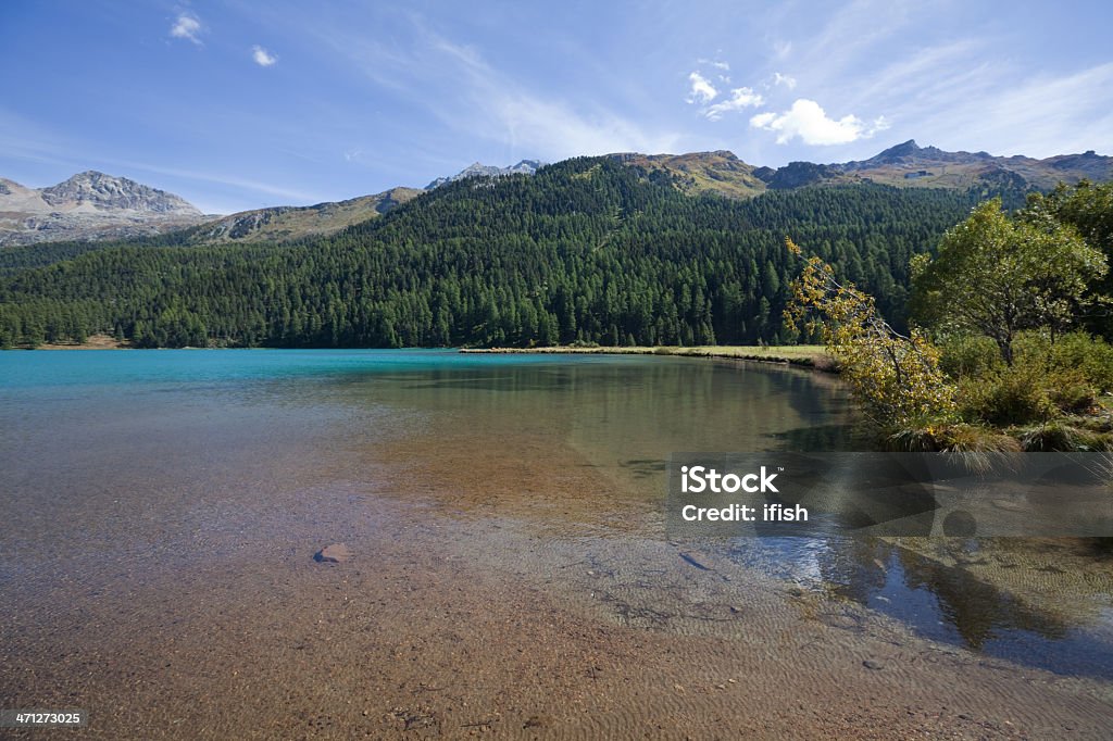 Transparente lago de Sils en la esquina sudoeste, engadina, Suiza - Foto de stock de Agua libre de derechos