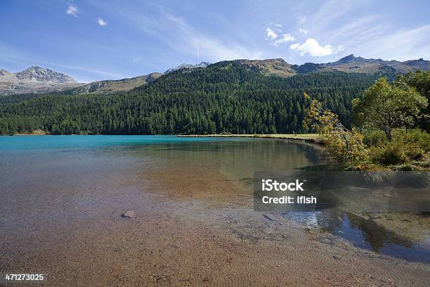 Foto de Cristalino Lago Silser Na Esquina Sudoeste Engadine Suíça e mais fotos de stock de Alpes europeus