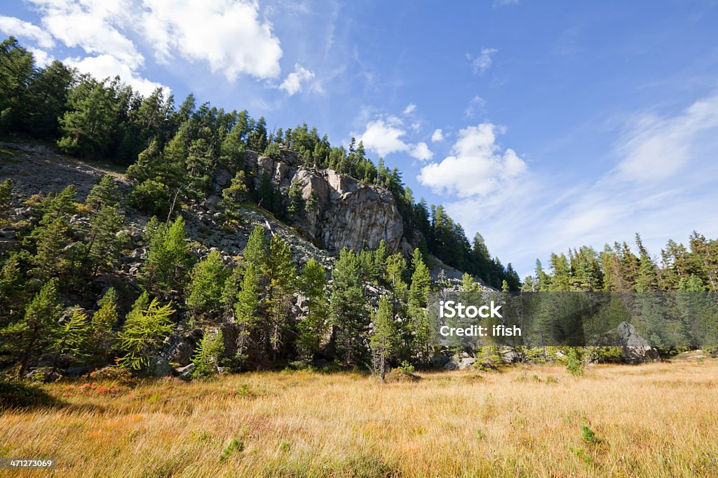 Alpine Scenery with Rocks, Pine Forest and Meadow, Engadine, Switzerland Alpine scenery with rocks, pine and larch forest and meadow, Engadine, Switzerland  Cloud - Sky Stock Photo