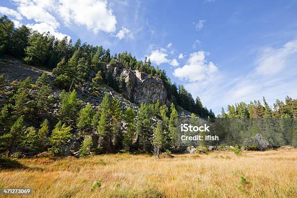 Alpine Scenery With Rocks Pine Forest And Meadow Engadine Switzerland Stock Photo - Download Image Now