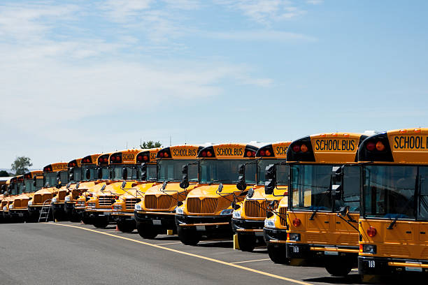 istock Row of School Busses 471273219