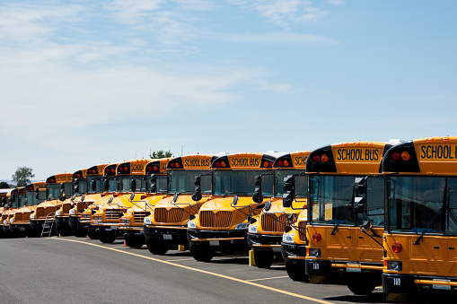 A row of school busses of different sizes and designs, it in a parking lot.