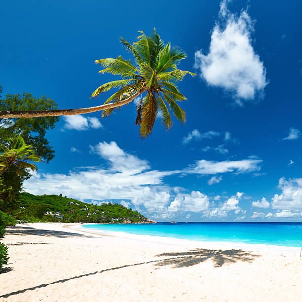 istock Beautiful Anse Intendance beach at Seychelles 471274164