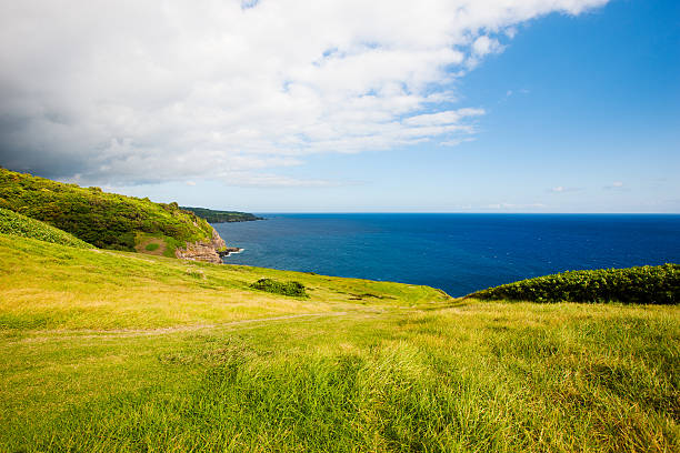 istock South East Coast Maui Hawaii 471275447