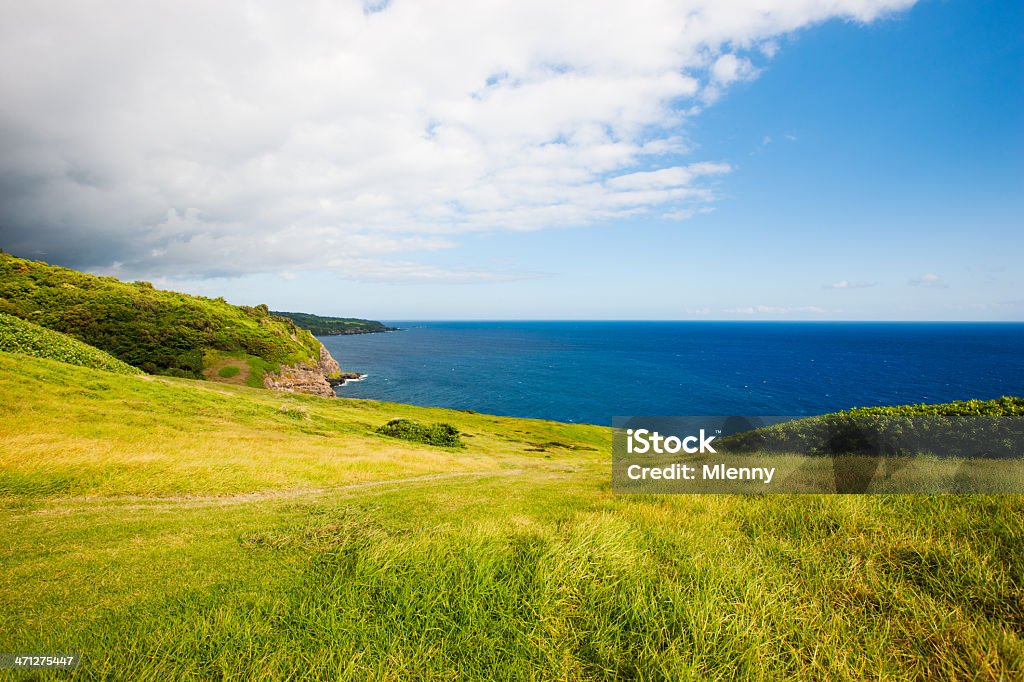 Sul da Costa Leste Maui, Havaí - Foto de stock de Beleza royalty-free