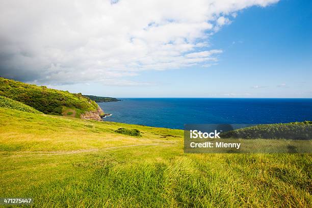 Foto de Sul Da Costa Leste Maui Havaí e mais fotos de stock de Beleza - Beleza, Beleza natural - Natureza, Cena Não-urbana